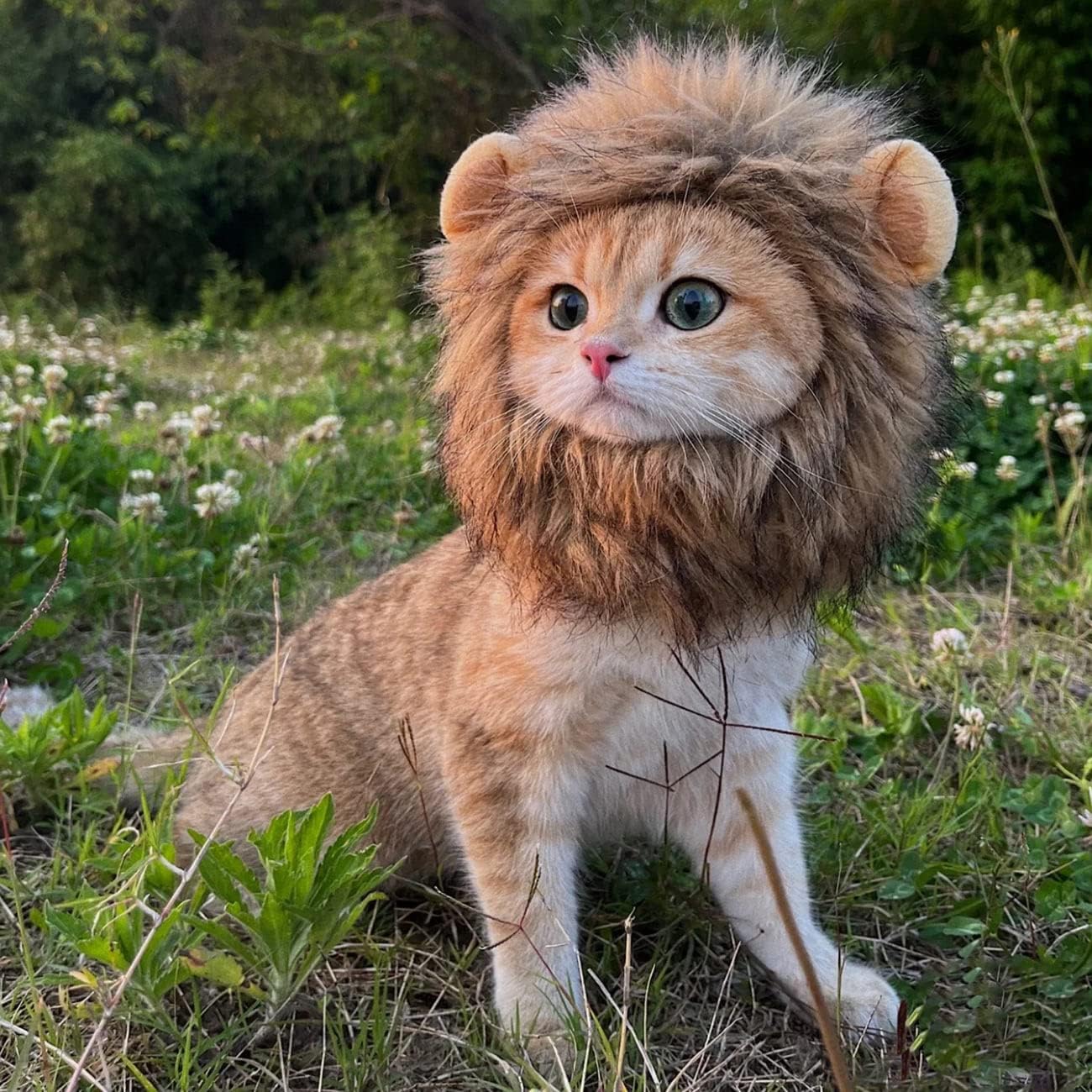 Lion Mane Wig for Cat,Dog and Cat Costume,Funny Pet Philippines Ubuy