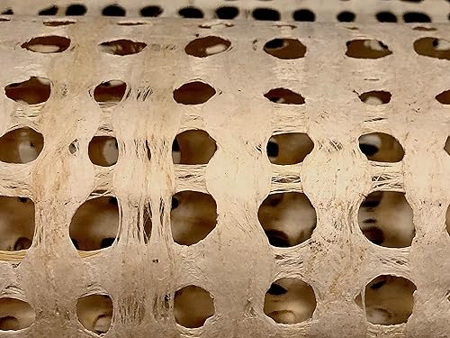 Miniatura 5 de Feather Luna Cafe & Creme - Papel de corteza XL Amate de 38 x 16 pulgadas (37.8 in x 15.7 in), utilizado para proyectos de bricolaje arte de pared,