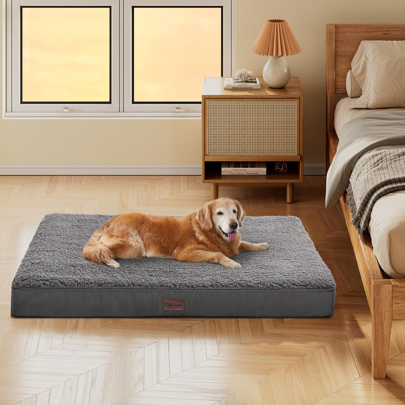Image result for OhGeni Orthopedic Dog Beds for Large Dogs,Dog Bed with Plush Egg Foam ...
