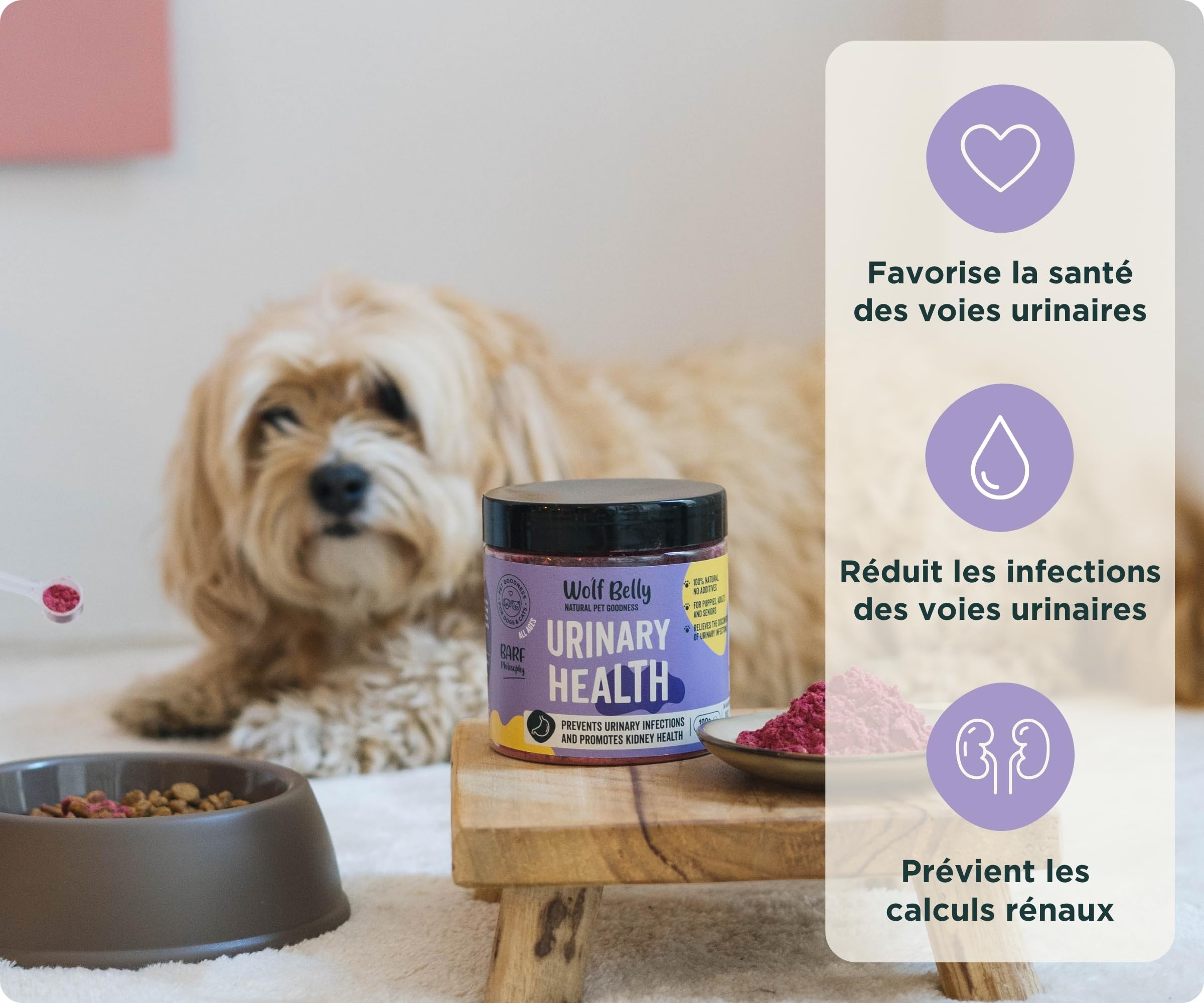 Wolf Belly - Traitement Infection Urinaire Chat et Chien 100% Naturel (180 g) Cystite Chat Médicament | Canneberge Poudre Riche en Vitamine C | Santé Reins pour Seniors et Chats - Fabriqué en Europe