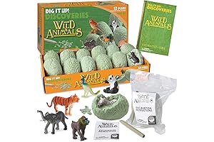 MindWare Dig It Up! (Dig a Pony Archeological Dig)