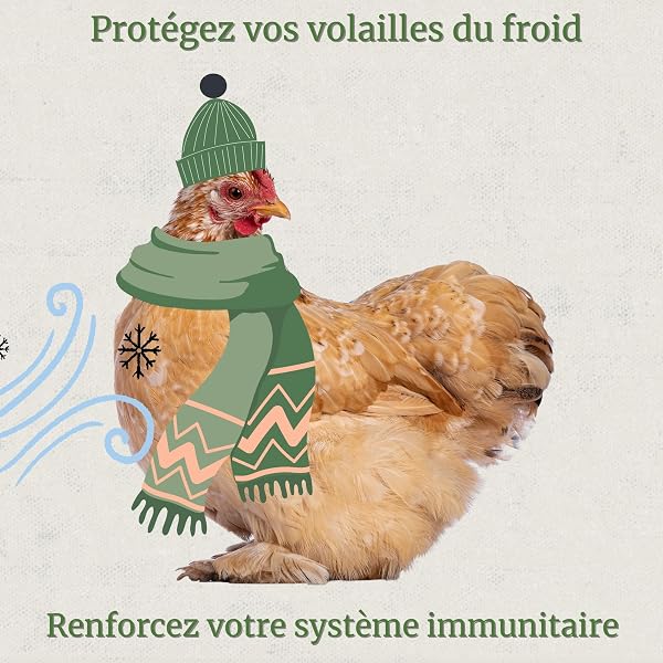 DADECARE Broncare Respiratoire 250 ml avec ADEC - Poules, Volailles et Oiseaux Exotiques - Huiles Essentielles, Renforceur Immunitaire et Respiratoire - ĂchinacĂ©e, Menthe, Thym et Romarin - 2