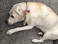 Review Image by vestergirl💜 vestergirl💜