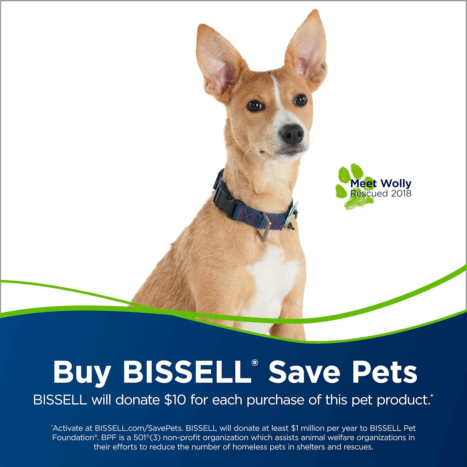 Bissell Cleanview Rewind Pet Deluxe Upright Vacuum Cleaner, 24899, Green CleanView Rewind Deluxe