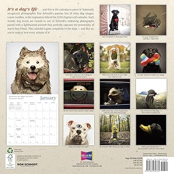 Amazon.com: Dogma 2025 Wall Calendar: A Dog's Guide to Life