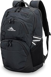 High Sierra Swoop SG Backpack, Travel or Work Laptop Bookbag with Drop Protection Pocket, and Tablet Sleeve, One Size, Mercury