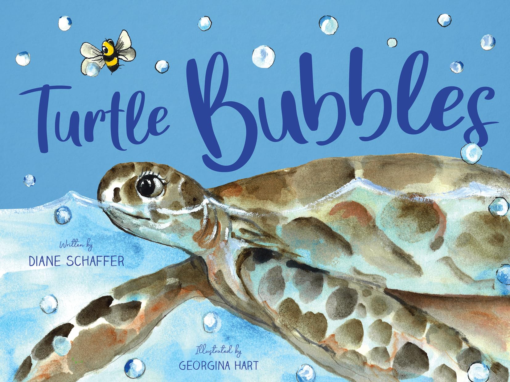 Turtle Bubbles by Diane Schaffer (Paperback Book)