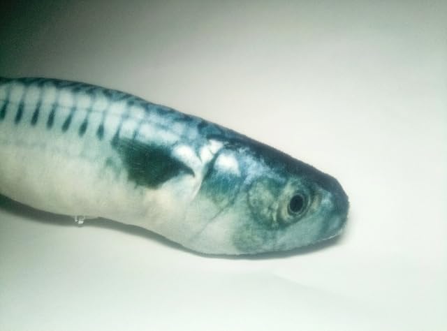 Foto 6 de 7 de Maibar Juguetes Gatos con Hierba gatera Juguete Gatos Pescado 3D Juguetes (Mackerel, 20cm)