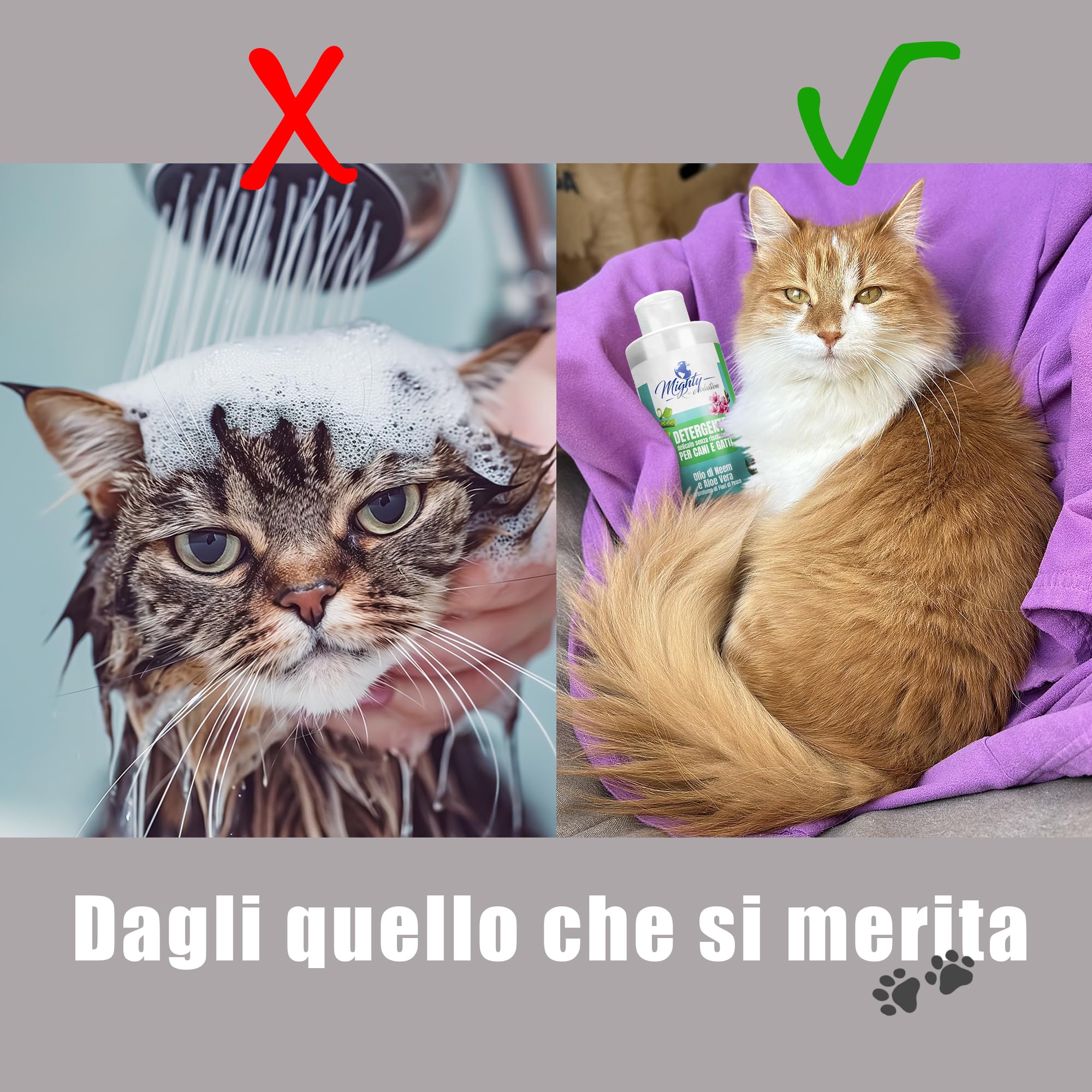 Gel Detergente Senza Risciacquo all’Olio di Neem e Aloe Vera, Shampoo a Secco per Cane, Gatto e Conigli a Pelo Lungo o Corto, Senza Parabeni e Siliconi, Totalmente Naturale - 250 ml, Made in Italy