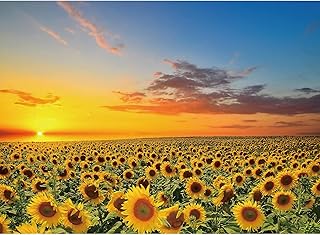 1000 Pieces Puzzles for Adults Sunflower Jigsaw Puzzles Flowers Floor Puzzle Kids DIY Toys for Creative Gift Home Decor