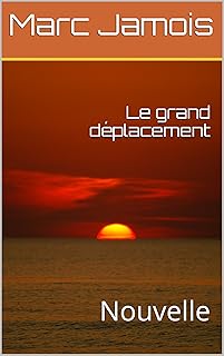 Amazoncom Deplacement - 