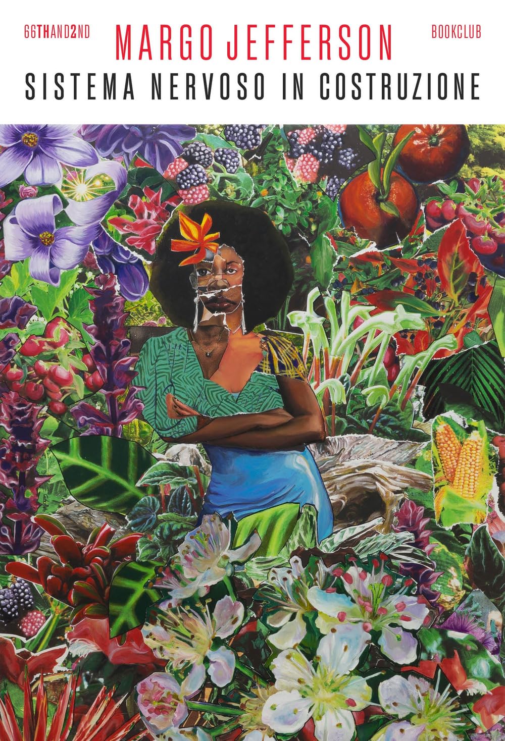 Sistema Nervoso In Costruzione - 4