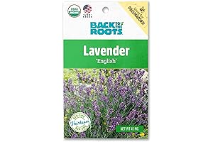Back to the Roots Organic Lavender Seeds: The Fragrant Flower of tranquility