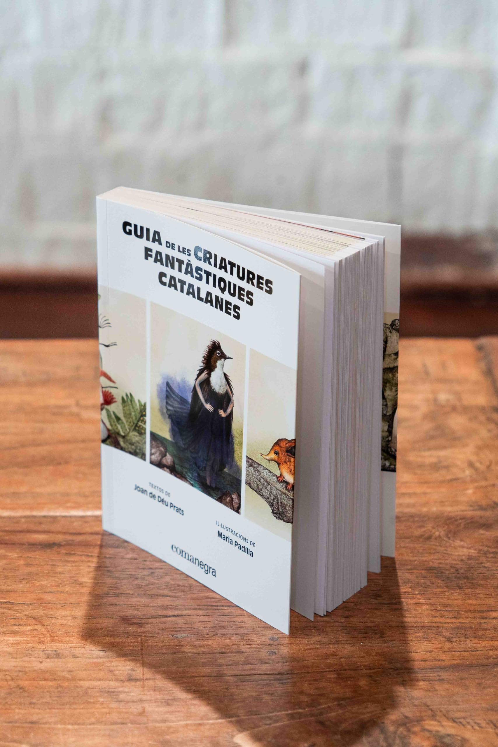 Guia de les criatures fantàstiques catalanes (Catalunya fantàstica)