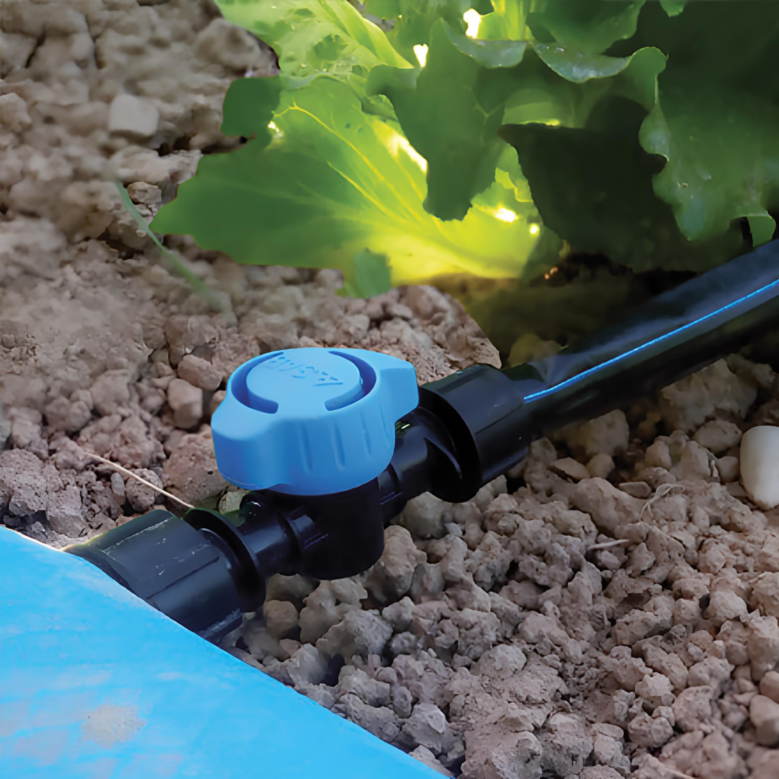 SAB Valvola a Compressione 25X25 per Tubo Portagomma, 10 Pezzi, Ideale per impianti di irrigazione a goccia in giardino, balcone e orto