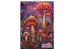 2024 Wall Calendar: Hippie Mushrooms