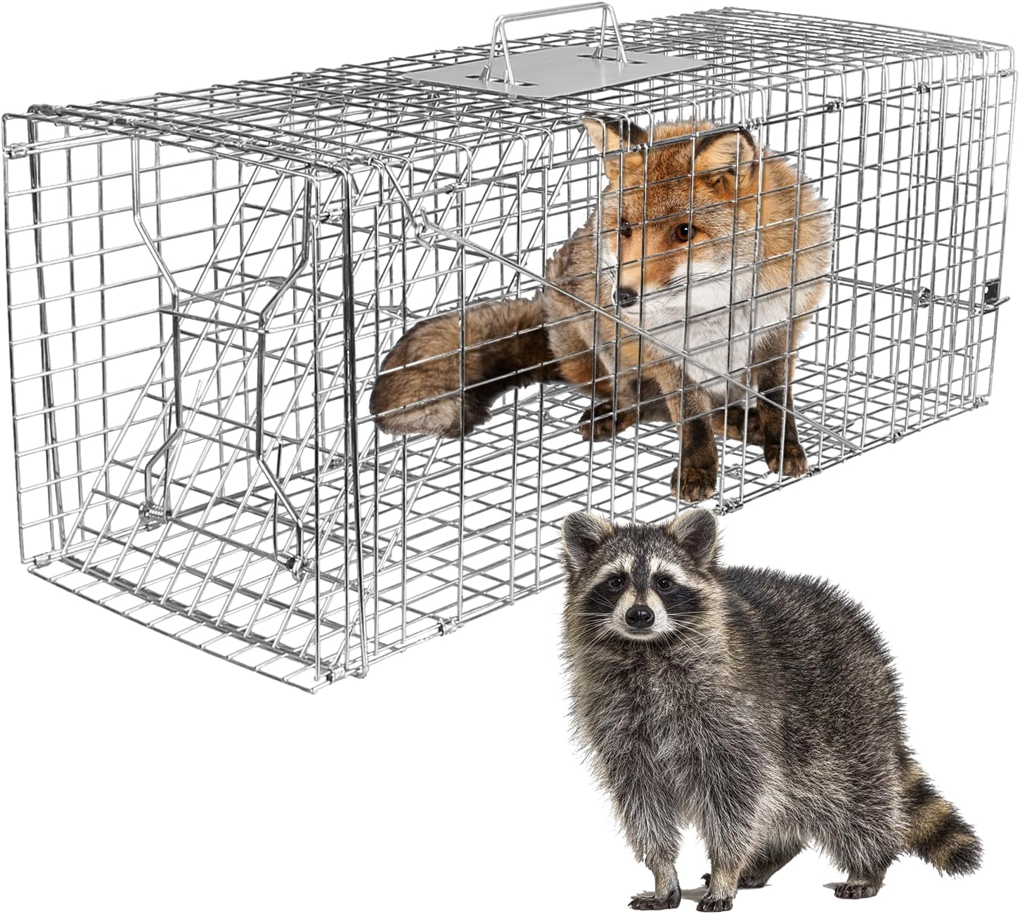 Humane Live Animal Cage Trap, 30.5x11.8x11 Inch Large Humane Live Trap Cage Collapsible Live Animal Cage Trap for Stray Cat, Chipmunk, Groundhog, Raccoon, Catch & Release
