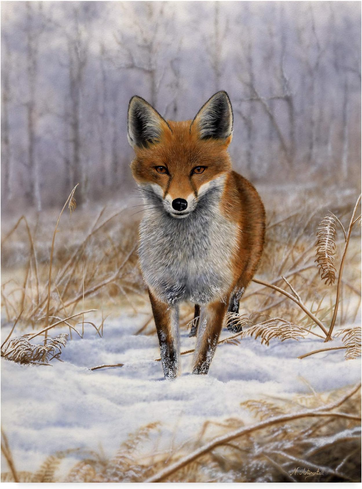 Trademark Fine Art Red Fox Center by Nigel Artingstall, 18x24-Inch