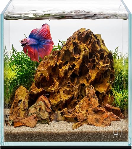 Miniatura 95 de Ultum Nature Systems - Acuario sin marcos ultratransparente, cristal con poco hierro, bordes con corte a inglete a 45º, grosor de 13/64 a 15/32