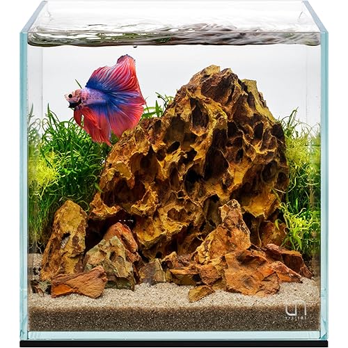 UNS Ultra Clear Rimless Tank - 2.1GAL | 8L - 7.87x7.87x7.87 | 20x20x20 CM, 5mm Glass Thickness, Leveling Mat Included - Low Iron, High Clarity Fish Tank w/ 45° Mitered Edge - [20C]