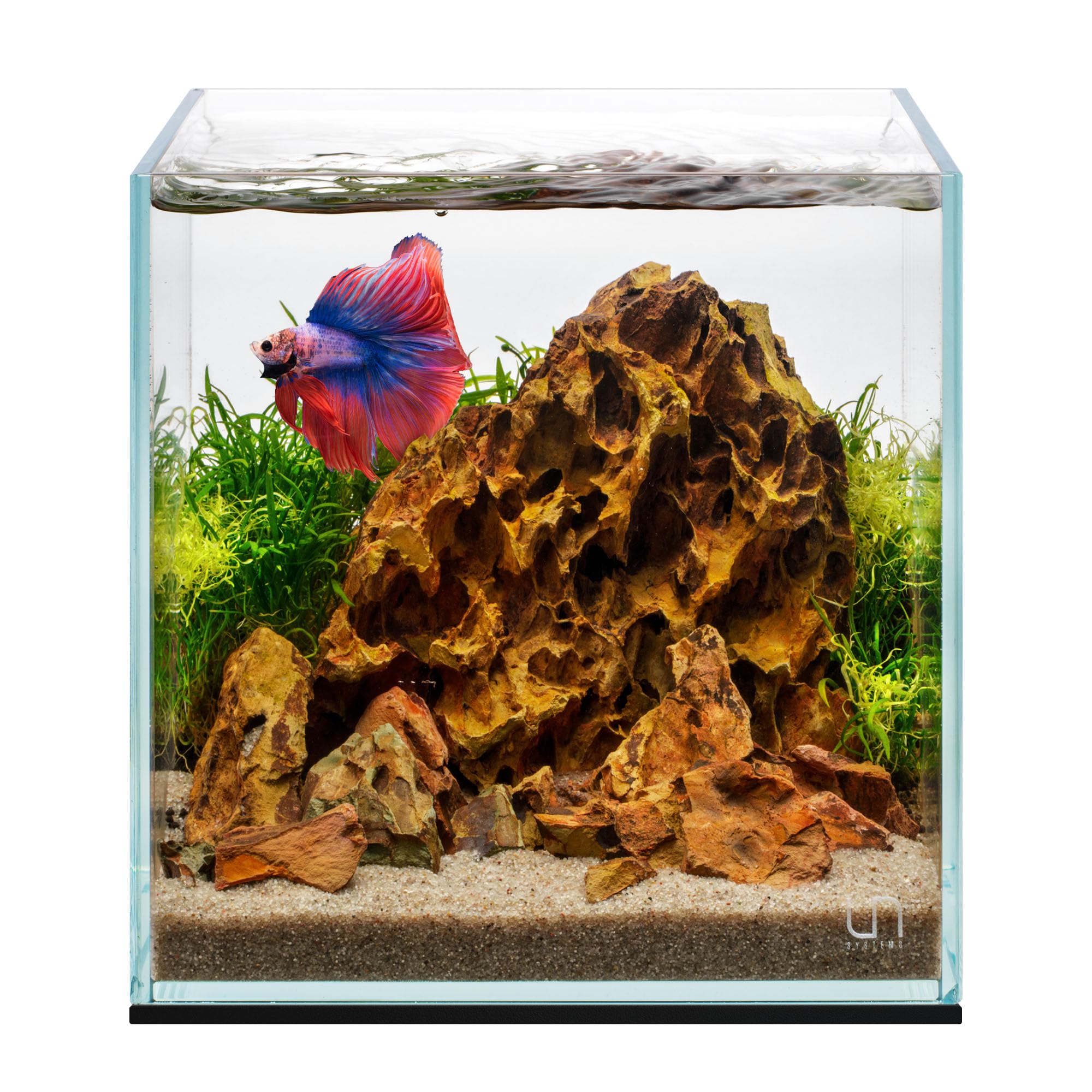 UNS Ultra Clear Rimless Tank - 2.1GAL | 8L - 7.87x7.87x7.87 | 20x20x20 CM, 5mm Glass Thickness, Leveling Mat Included - Low Iron, High Clarity Fish Tank w/ 45° Mitered Edge - [20C]