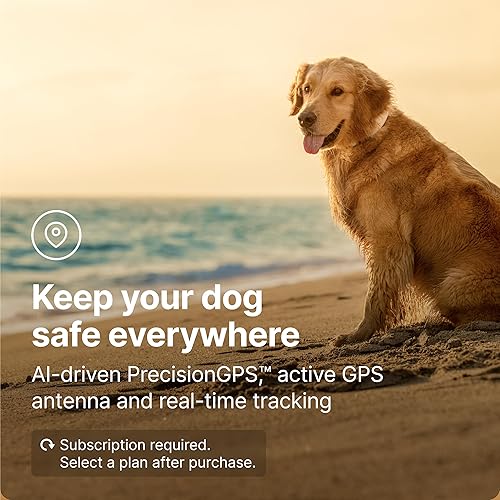 Miniatura 4 de Halo Collar 3  Cerca GPS para perros  Valla inalámbrica multifunción para perros y collar de entrenamiento con seguimiento en tiempo real y GPS