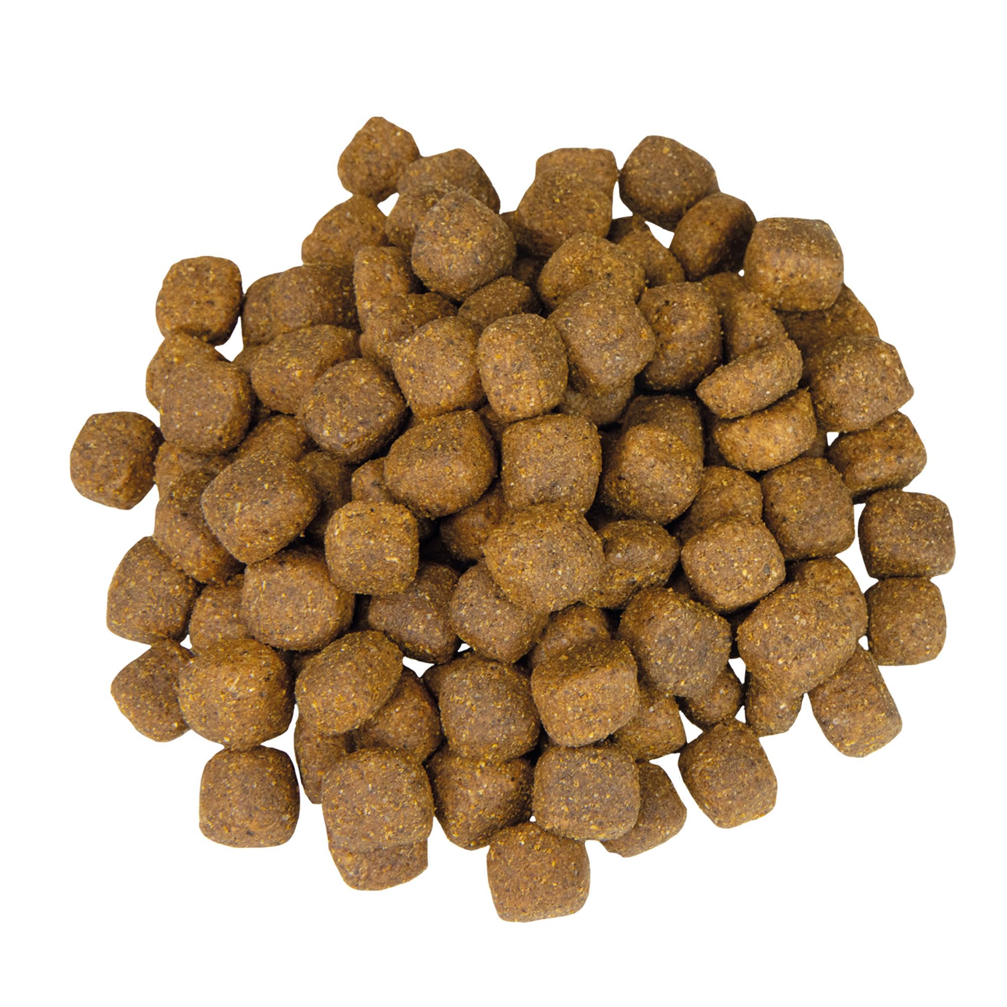 Veggie Dry - vegetarisches Hundefutter - ideal für alle Fleisch Allergiker 12 kg - Schecker Trockenfutter für Hunde