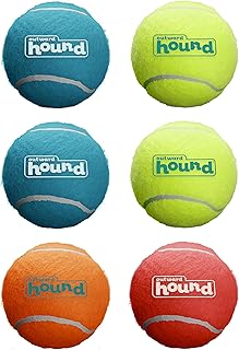 Outward Squeaky Dog Training Tennis Balls