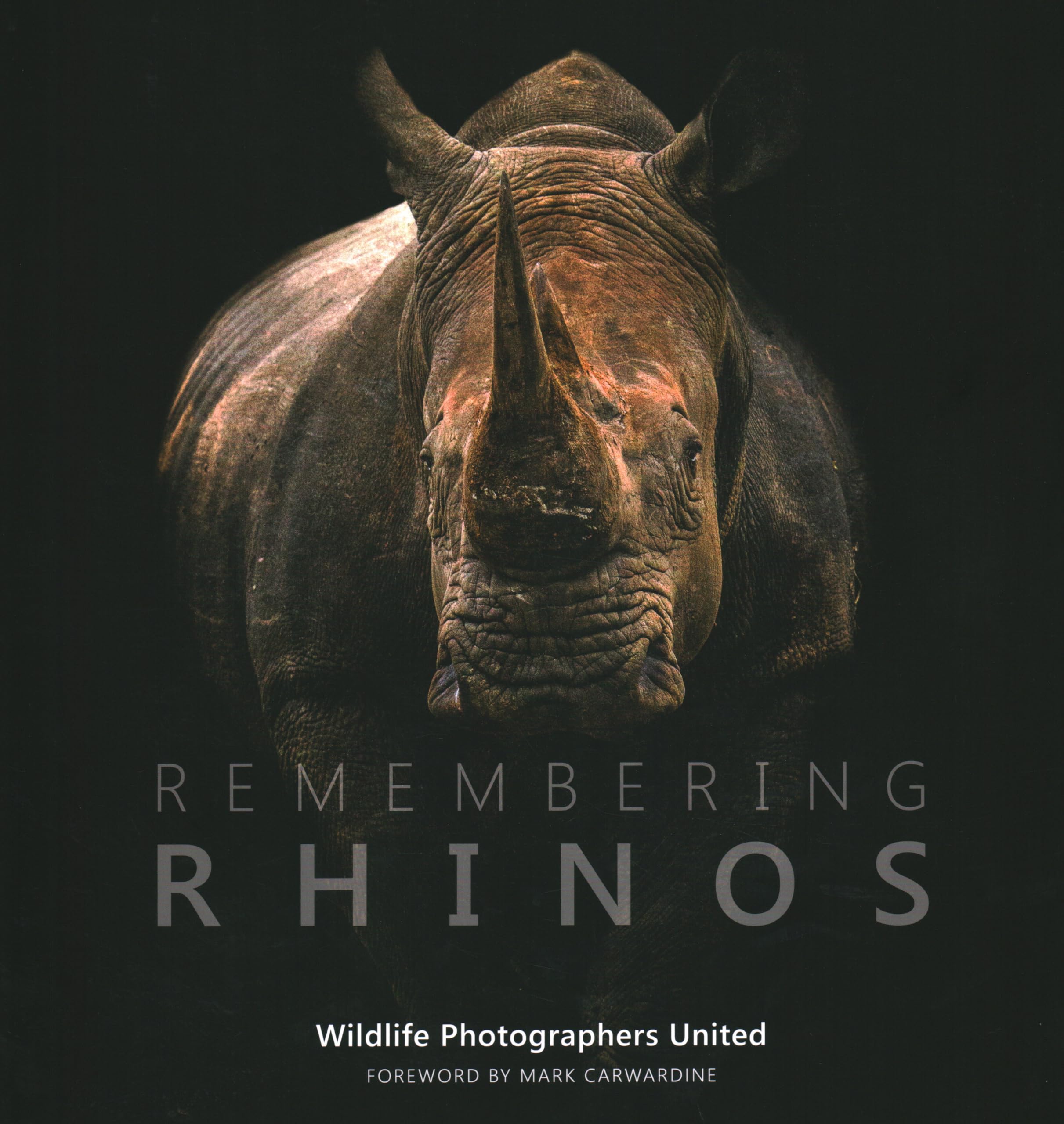 Remembering Rhinos by Mark Carwardine - 9781999643324