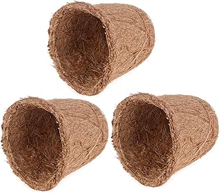 Hemoton Kit de iniciante de sementes de turfa de coco, 10 peças redondas de coco, para iniciantes de sementes de mudas, potes orgânicos ecológicos, bandeja para iniciante de turfa de flores para sementes de jardinagem