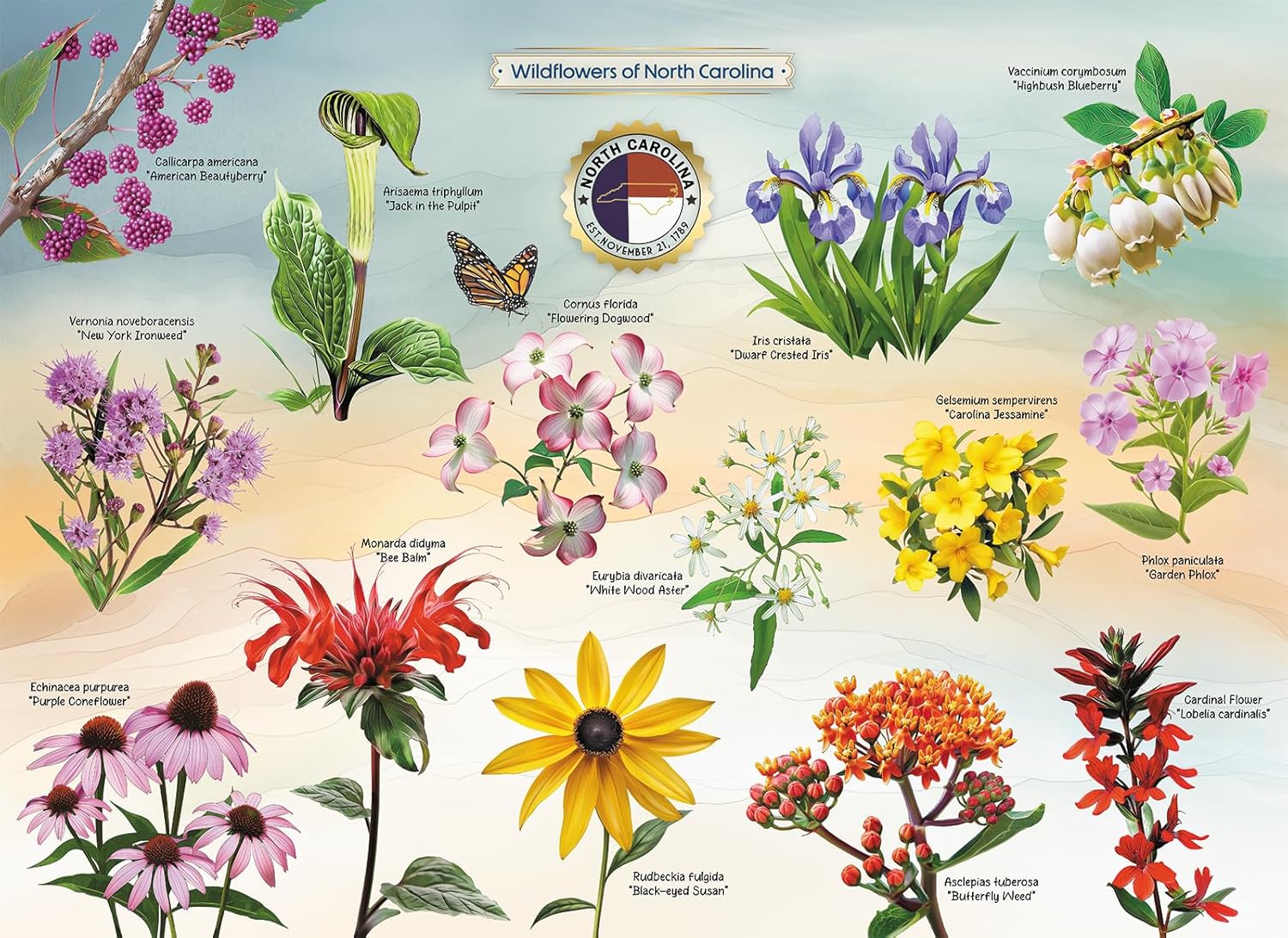 Wildflowers of North Carolina Jigsaw Puzzle