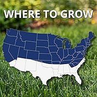 Vista 6 de Semillas de césped Jonathan Green Black Beauty