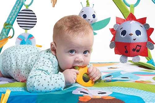 Miniatura 4 de Tiny Love Días de prado Día Soleado Gymini