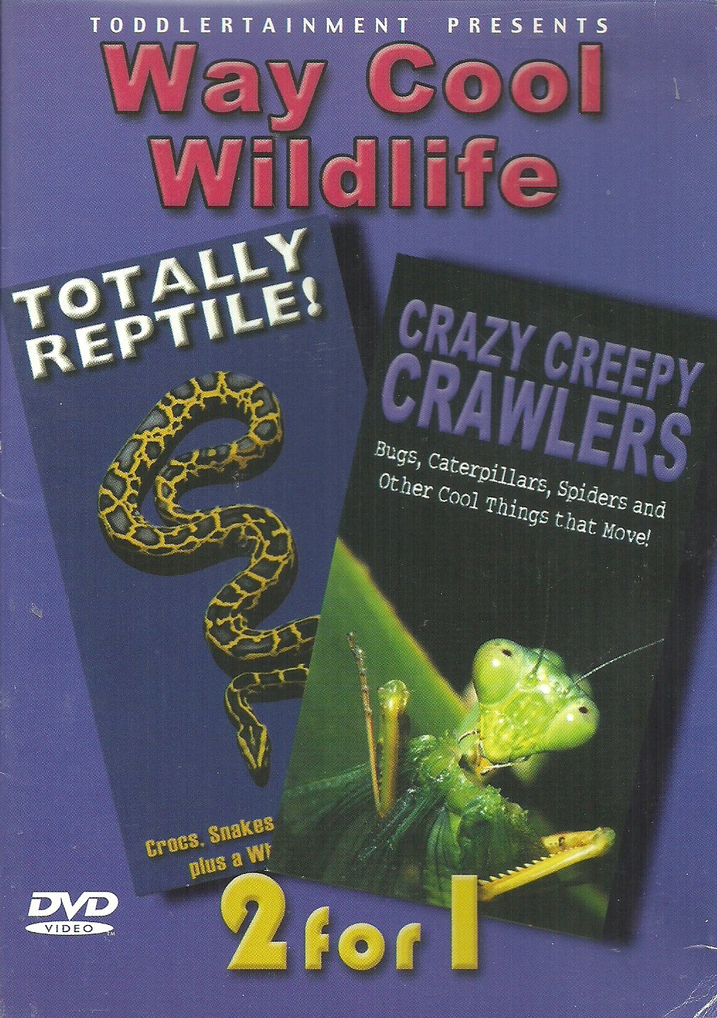 Reptiles Way Cool Wildlife para explorar la naturaleza y jugar en el jardín