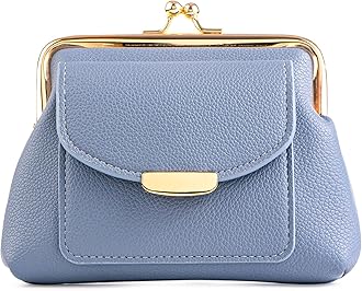 Coin Purse With Credit Card Slot, Kiss Lock Coin Purse for Women, Large Capacity Coin Pouch, Change Purse Cute Car Coin Holder for Women (2-Greyblue)