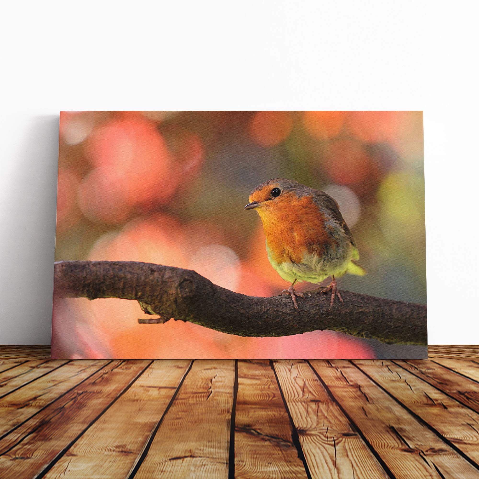 Robin Bird Blurred Background Canvas Print | Gallery Wrapped 30mm Frame Wall Art | 20x14 inches | Ready to Hang | Modern Animals Picture | Living Room Bedroom Lounge Office
