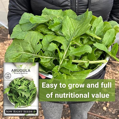 Miniatura 5 de Sow Right Seeds - Semillas de rúcula para plantar - Semillas de reliquia sin OMG con instrucciones para plantar un huerto casero - Interior,