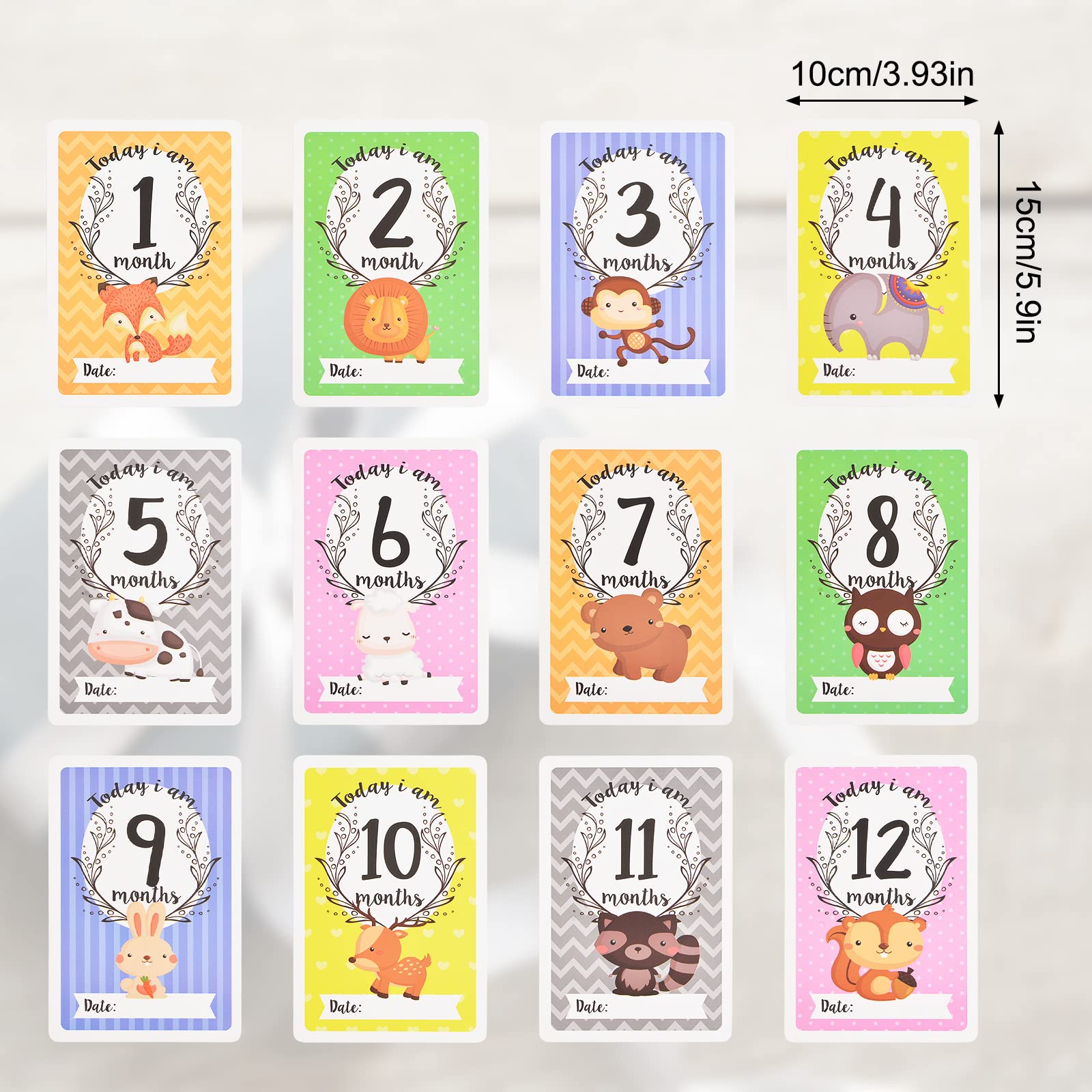 URROMA Baby Monthly Milestone Cards - Image 2