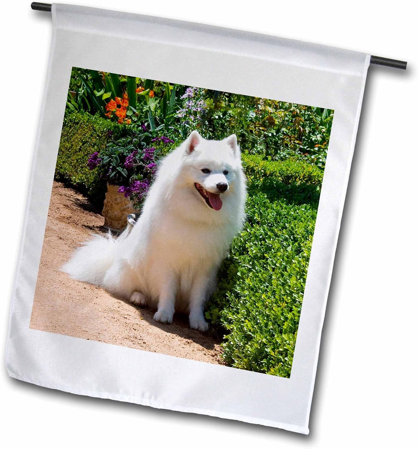 3dRose fl_88781_2 "American Eskimo Dog - Us05 Zmu0082 - Zandria Muench Beraldo Garden Flag, 18 x 27