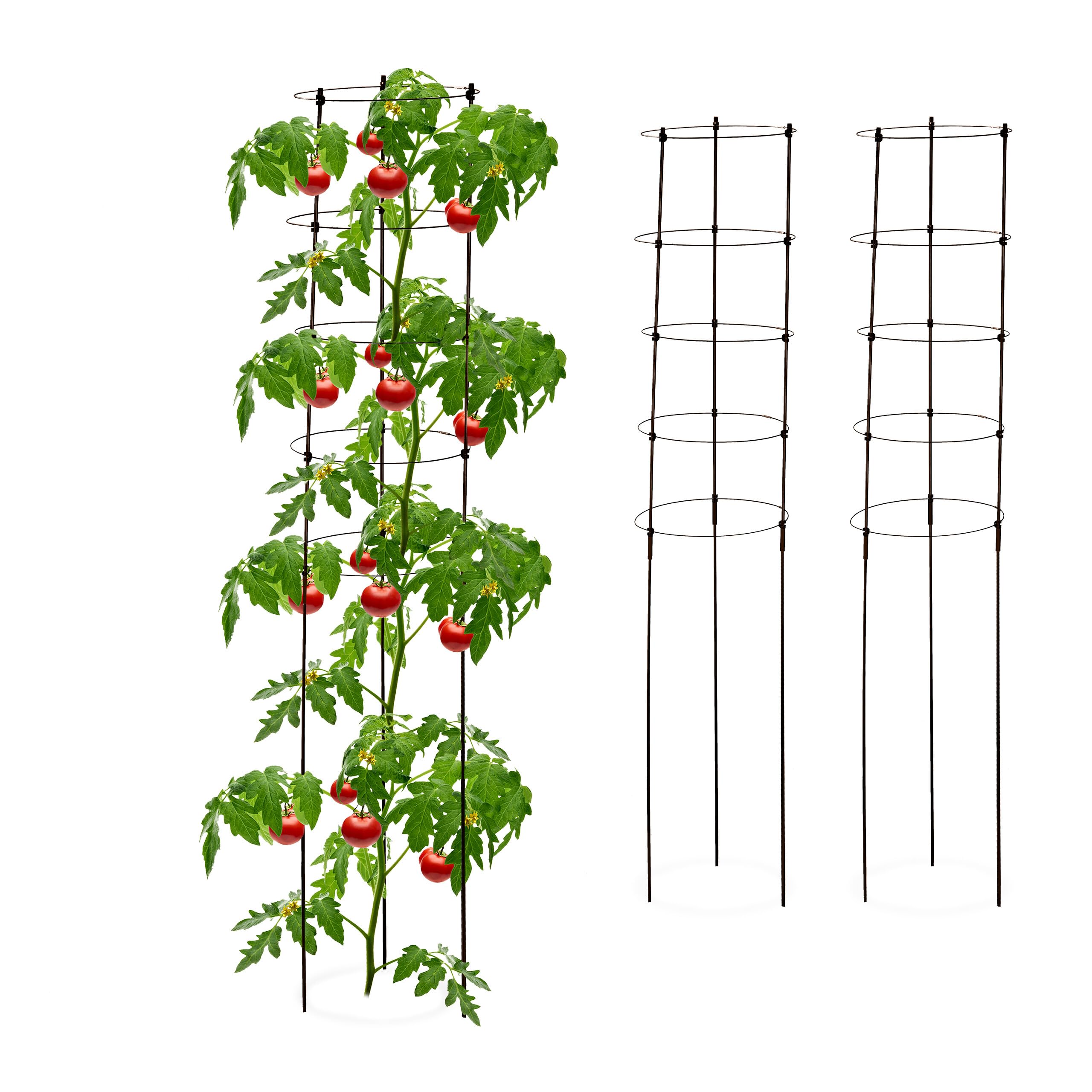Tuteur à tomates contre la casse des branches lourdes au potager