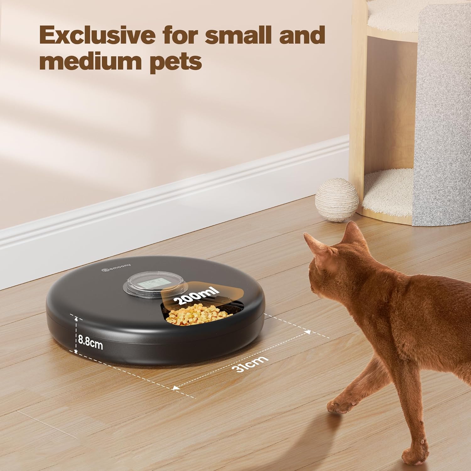 A person cleaning the removable food tray of the BEMOONY Automatic Pet Feeder under running water
