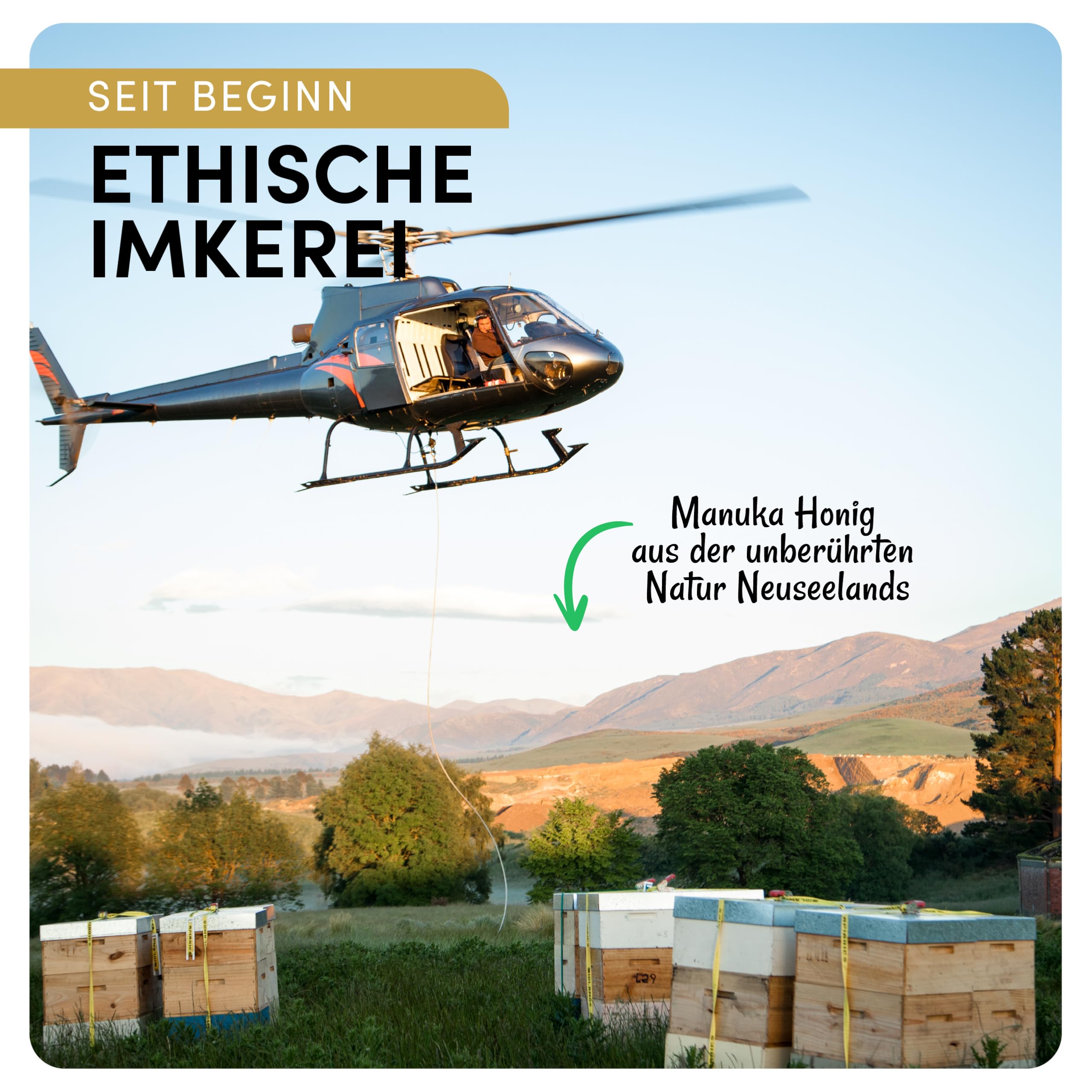 Manuka Vital MGO 700+ - Echter Manuka Honig 700 - In Neuseeland abgefüllt