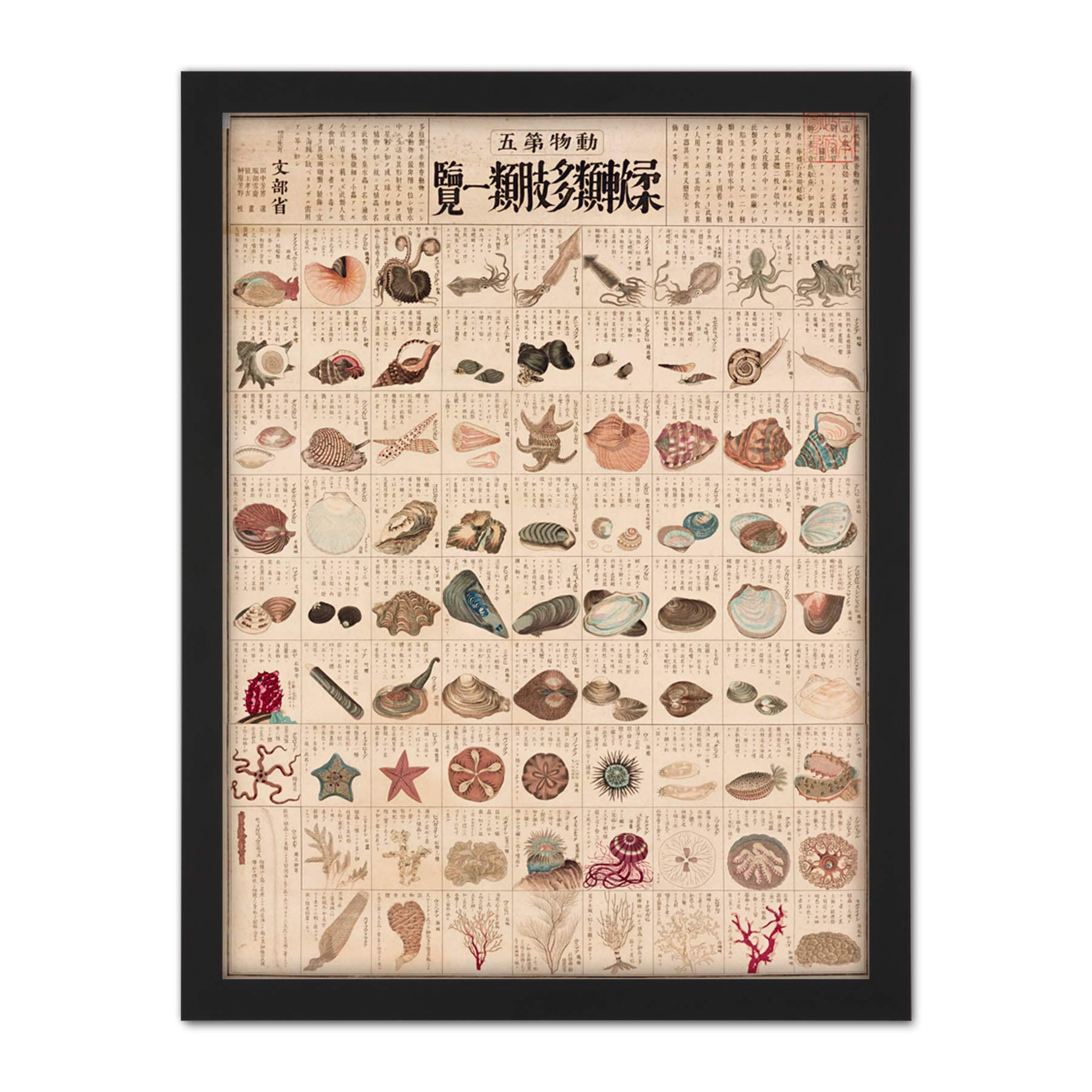 Artery8 Kato Chikusai Species of Sea Life Shellfish Japanese Artwork Framed Wall Art Print 18X24 Inch