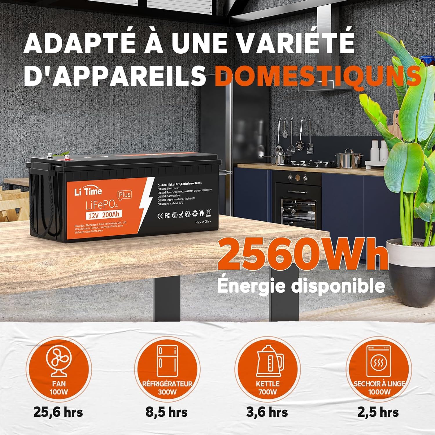 LiTime 2 PCS LiFePO4 Batterie 24V 100Ah, LiFePO4 Lithium Batterie avec 100A Protection BMS et Max.15000 Cycles Profonds, sans Entretien Parfait pour Camping-Car, Bateaux, Off-Grid