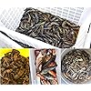 Product Photo 7