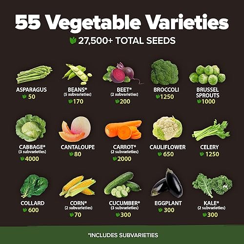 HOME GROWN 55 Vegetable Seeds Pack - Thumbnail 3