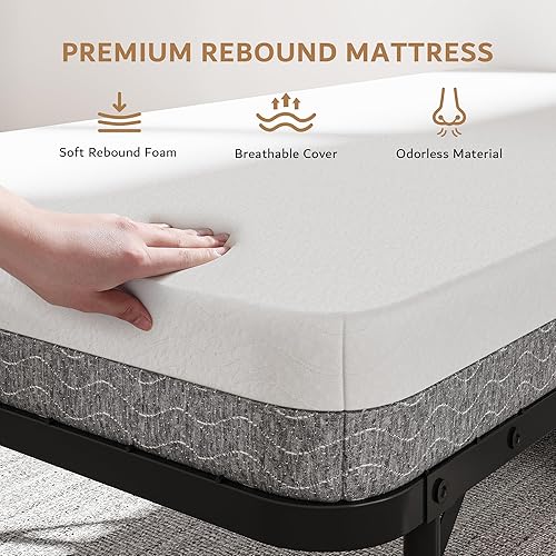 Miniatura 4 de iPormis Cama plegable con colchón, cama plegable individual de 76 x 38 pulgadas con bolsillo lateral y estante de almacenamiento, camas plegables