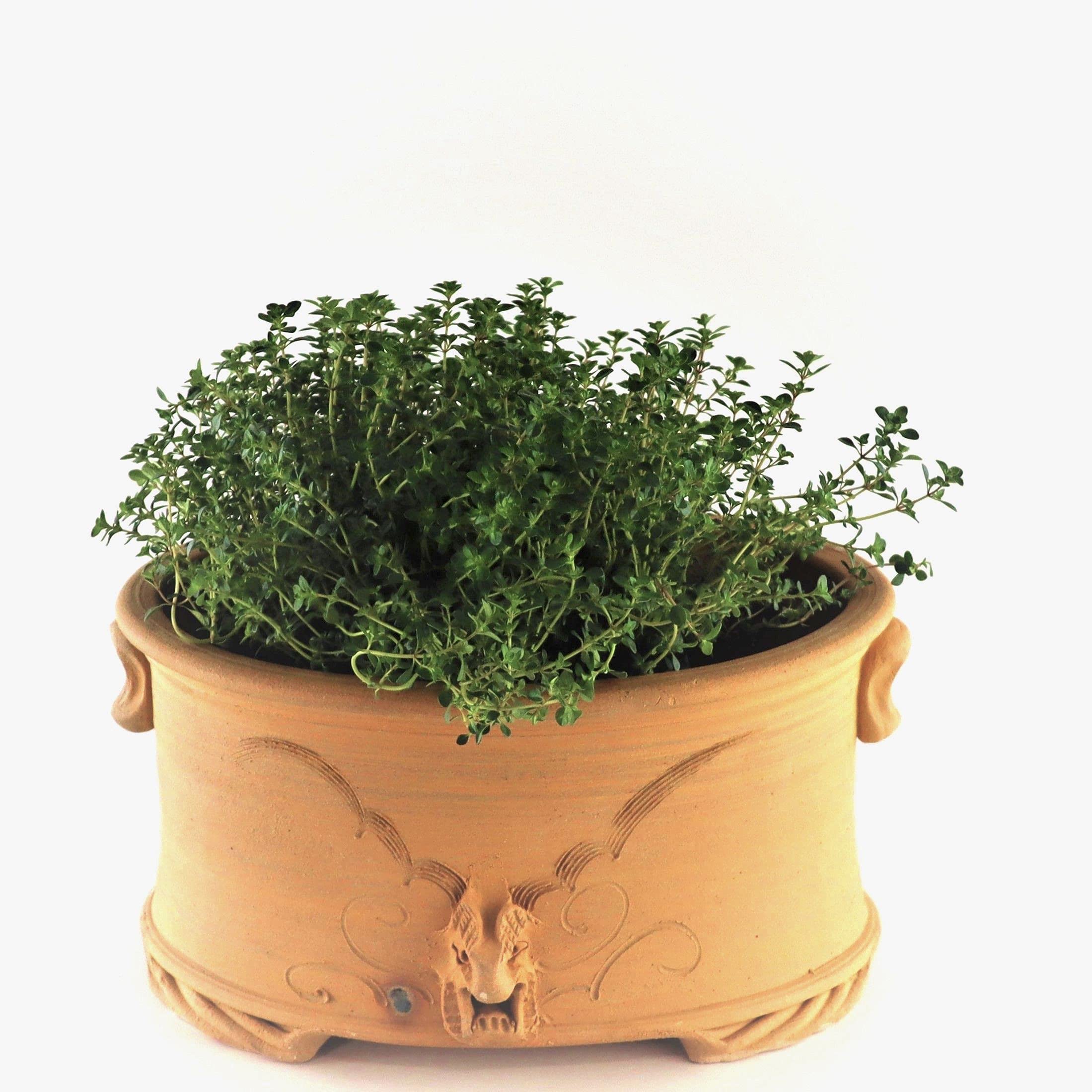 Palatina Werkstatt besonders Pflanzgefäß Blumentopf aus Terracotta, handgefertigtes Pflanzgefäß für Balkon Garten Terrasse (M)