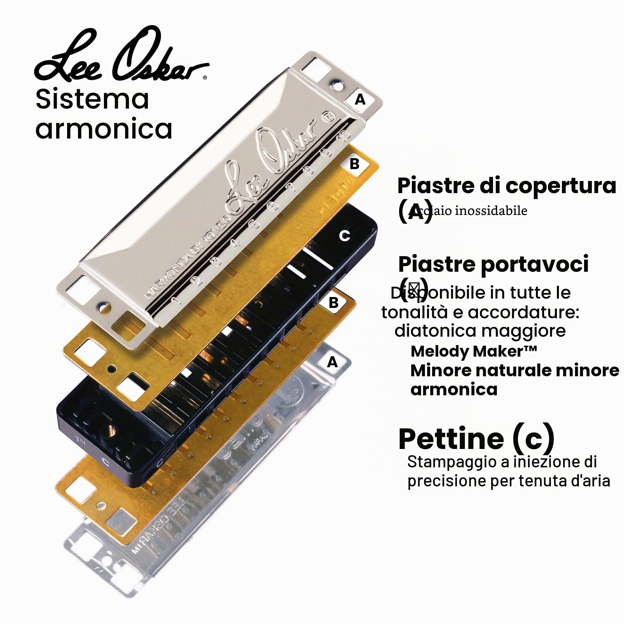 Armonica Lee Oskar Harmonic Minor D minor per musica etno, folk, gitana, tango e dell'Europa dell'Est - diatonica a 10 fori - piastre delle ance in ottone - custodia in plastica inclusa