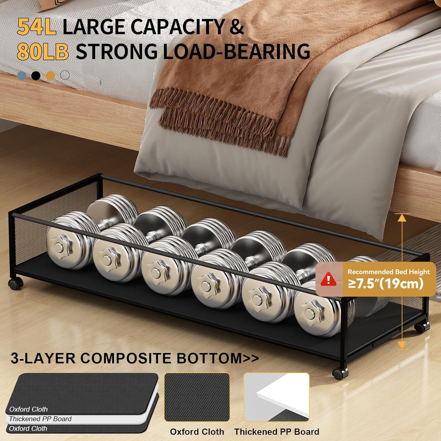 https://m.media-amazon.com/images/I/817eY-T6kBL.jpg